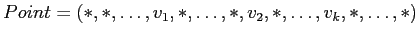 $ Point = (*,*,\ldots,v_1,*,\ldots,*,v_2,*,\ldots,v_k,*,\ldots,*)$