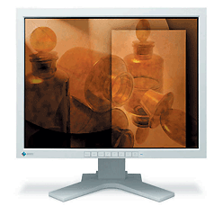 Модель ColorEdge CG21 оборудована аналоговым и цифровыми DVI-входами, портом USB 1.1, комплектуется новой версией калибровочного ПО 