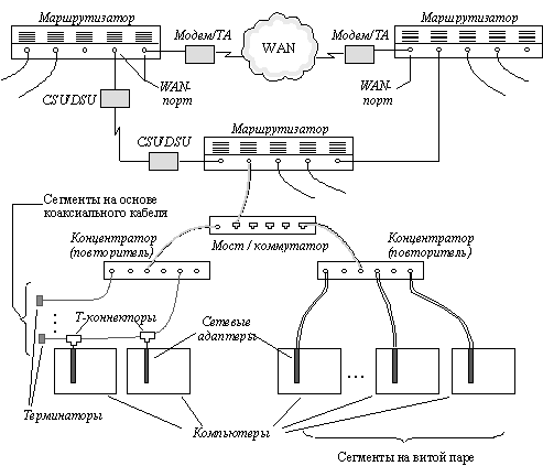 Фрагмент сети
