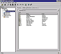 Опции - это типизованные пары ключ-значение, доступные на закладке Policies
