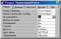 Рис. 2. Вид окна свойств Примечания отчета