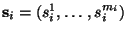$ {\mathbf s}_i=(s_i^1,\ldots,s_i^{m_i})$