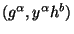 $ (g^\alpha, y^\alpha h^b)$