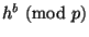 $ h^b\nmod p$