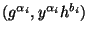 $ (g^{\alpha _i}, y^{\alpha
_i}h^{b_i})$