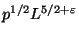 $ p^{1/2}L^{5/2+\varepsilon }$